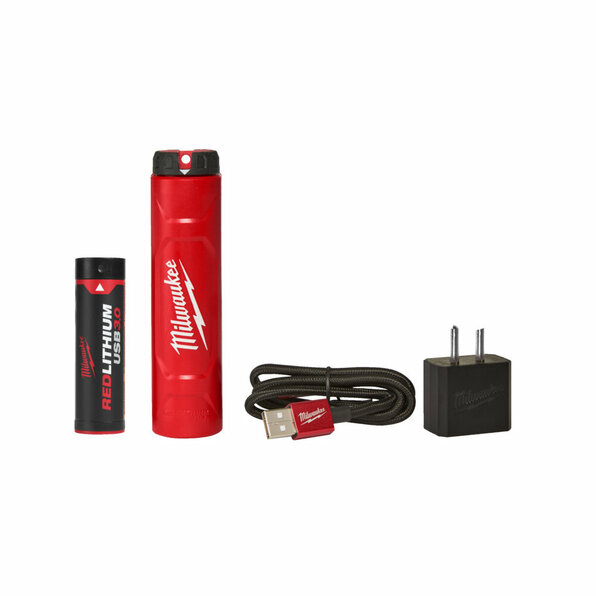 L4NRG-301 Akku+Ladegerät IN2