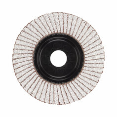 Fächerschleifsch. SL50/125 K120 Zirkon