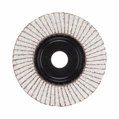 Fächerschleifscheibe Alu SLC50/125 K40