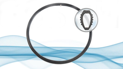 Ascopa-Sanierungs­schlauch